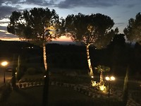 IMG_8891