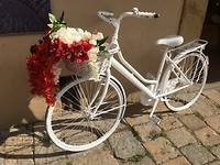IMG_8976