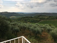 IMG_8991