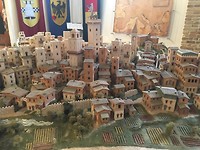 IMG_9019