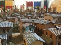 IMG_9020