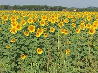 IMG_9069
