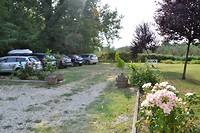 _DSC4411