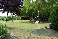 _DSC4412