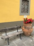 IMG_9100