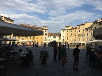 IMG_9132
