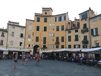 IMG_9134