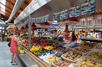 _DSC4449