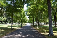 _DSC4457