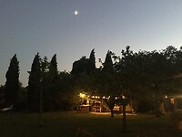 IMG_1004