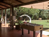 IMG_E0978