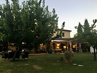 IMG_E0988