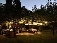 IMG_E1009