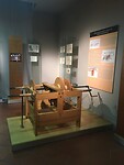 IMG_1071