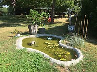 IMG_1156