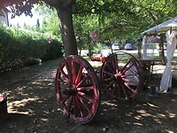 IMG_1159