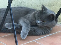 IMG_1171