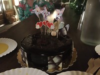 IMG_8565