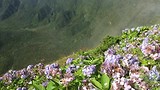 Krater Faial Island , Azoren
