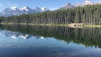 Herbert Lake