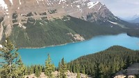 Peyto Lake