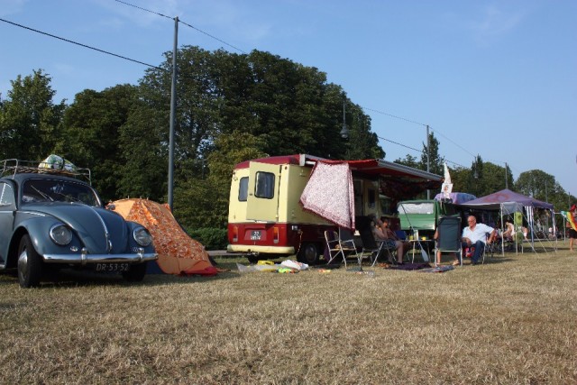 Busjes enzo