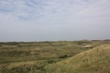 IMG_4781