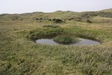 IMG_4785