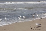 IMG_4789