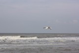 IMG_4792