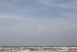 IMG_4798