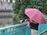 Karlovy Vary