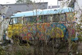 IMG_3203