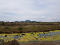 20190414_105034