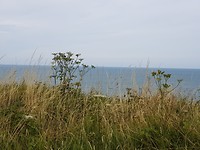 20190803_151052