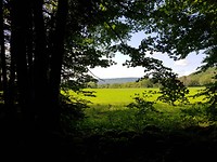 20190812_163506