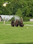 20190813_171631