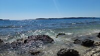 IMG-20210806-WA0016