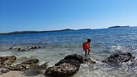 IMG-20210806-WA0013