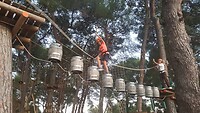 IMG-20210819-WA0008