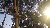 IMG-20210819-WA0004