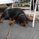 IMG_20230708_081447_893