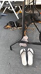 IMG-20230714-WA0000