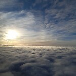 20260131_091702