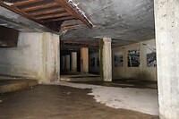 20210808-13.42u-1 Vang