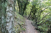 20210808-13.53u Vang
