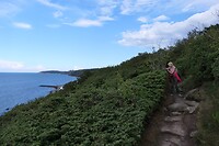 20210808-14.10u-1 Vang