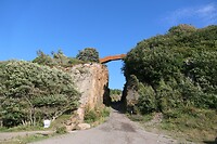 20210808-16.49u Vang