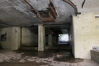 20210808-13.41u Vang
