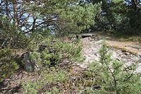 20210721-14.53u Hel